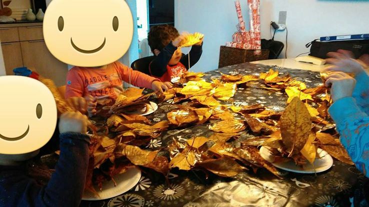 Tre børn sidder ved et bord og sorterer tørrede blade.